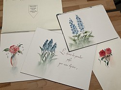 Aquarelle et calligraphie dite de chancelière
