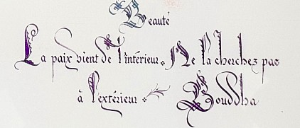 Splendeur de la Renaissance !